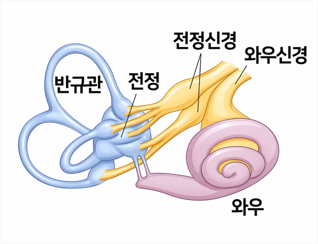 정의 이미지1