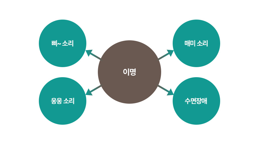 증상 이미지3