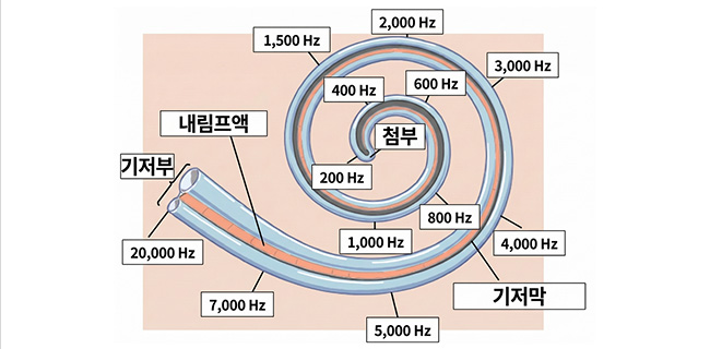 검사 이미지1