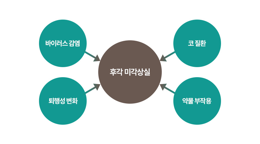 원인 이미지1