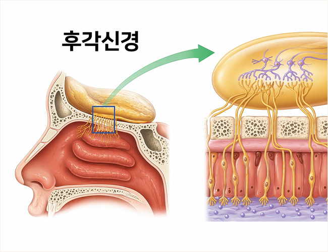 정의 이미지1