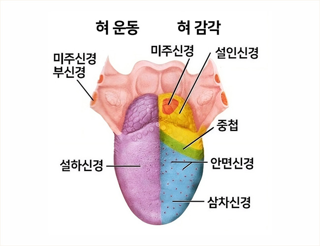 정의 이미지2