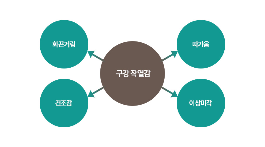 종류 이미지2