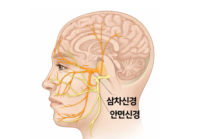 관계 이미지1
