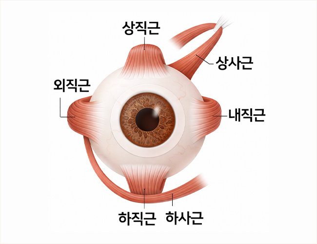 정의 이미지1