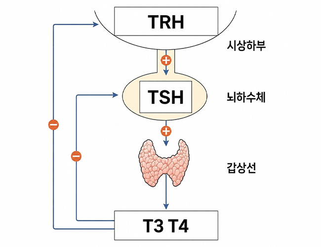검사 이미지1