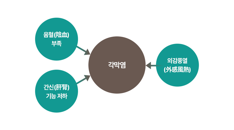 원인 이미지2