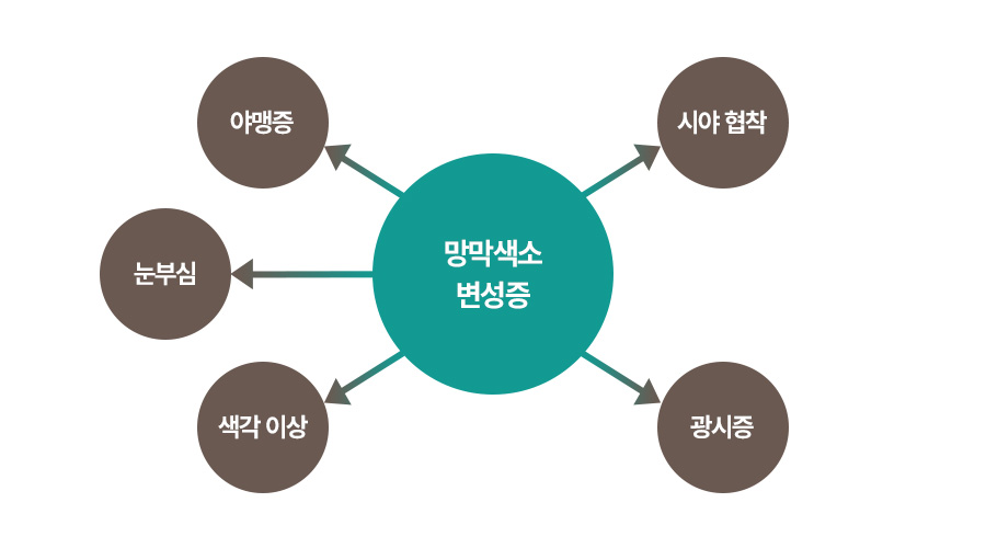 증상 이미지1