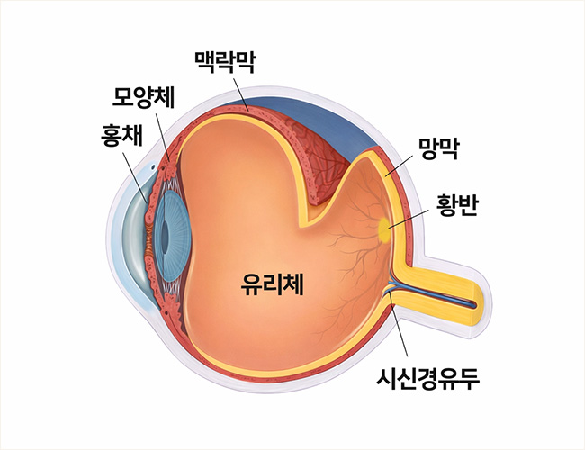 정의 이미지1