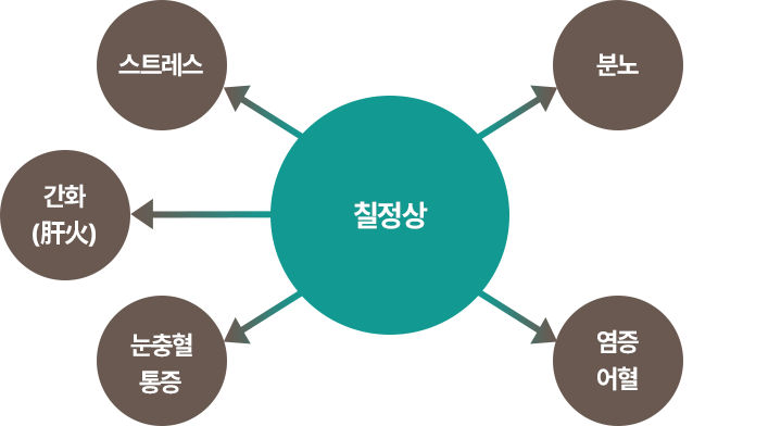 칠정상 인포