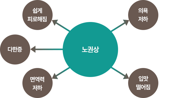 노권상 인포