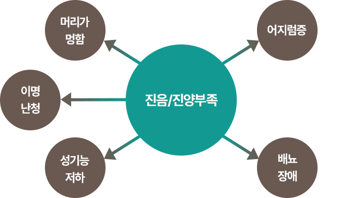 진음 인포