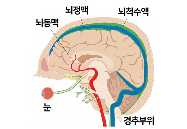 어바웃 치료영역1